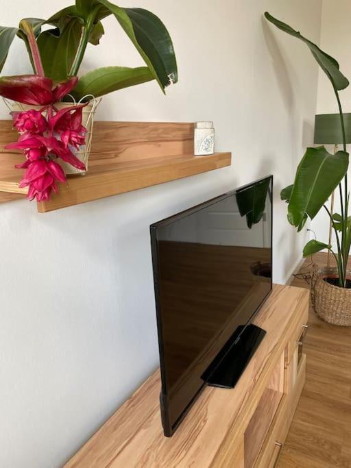 2-Zimmer Zentral In Ferdinandshof, Wlan Modern מראה חיצוני תמונה