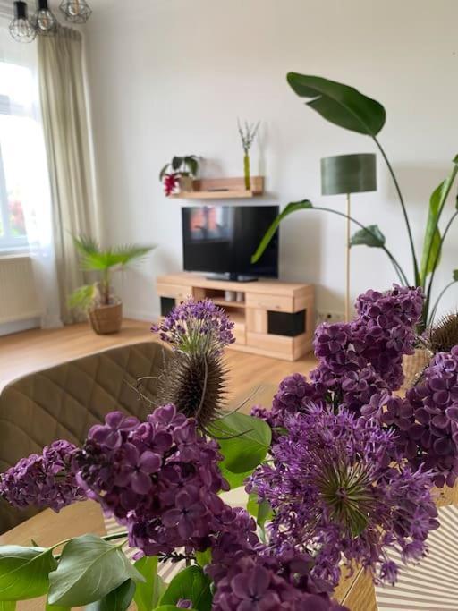 2-Zimmer Zentral In Ferdinandshof, Wlan Modern מראה חיצוני תמונה